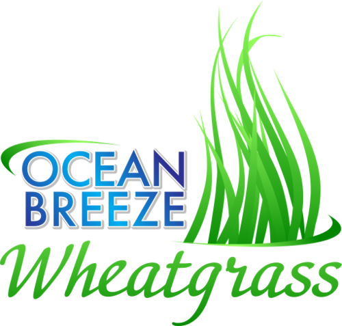 OceanBreezeWheatgrassLogo